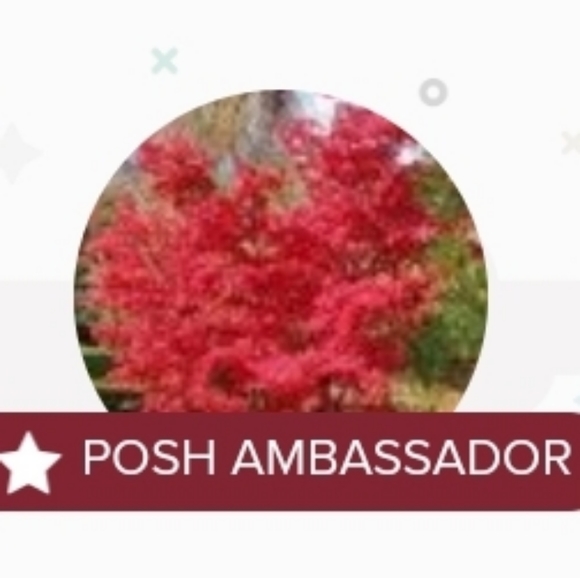 Posh Ambassador - Blessed Closet by Trinity Wealth - Picture 1 of 6